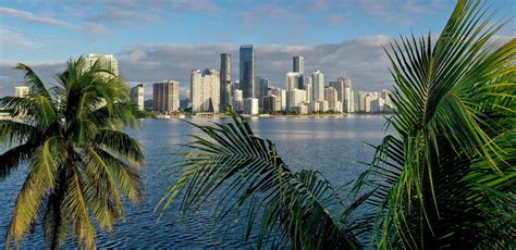 latest local news|Local News: Latest News, Headlines, and Video from NBC6 .